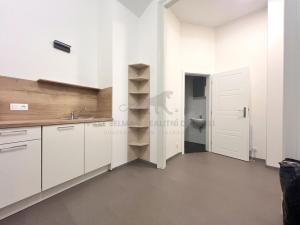 Pronájem bytu 1+1, Praha - Staré Město, Smetanovo nábřeží, 35 m2