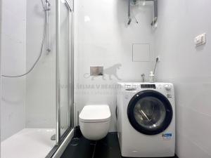 Pronájem bytu 1+1, Praha - Staré Město, Smetanovo nábřeží, 35 m2