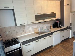 Prodej bytu 3+1, Stará Paka, U Továrny, 115 m2