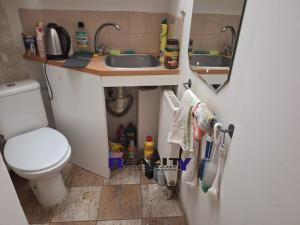 Pronájem obchodního prostoru, Žatec, náměstí Svobody, 50 m2