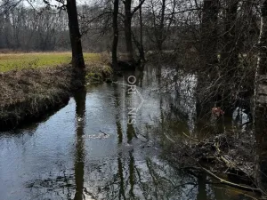 Prodej komerční nemovitosti, Dolní Cerekev, 560 m2