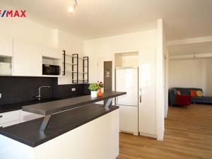 Pronájem bytu 4+kk, Praha - Nusle, V luhu, 100 m2