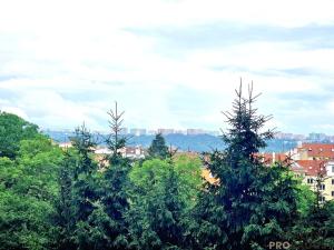 Pronájem bytu 1+1, Brno, Mathonova, 37 m2