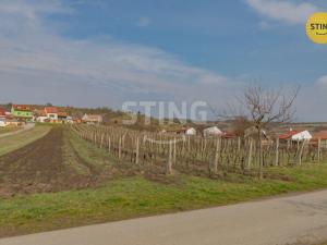 Prodej komerčního pozemku, Bořetice, 4731 m2