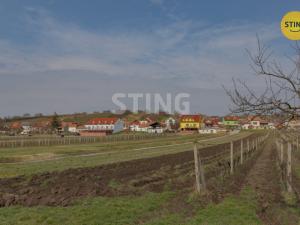 Prodej komerčního pozemku, Bořetice, 4731 m2