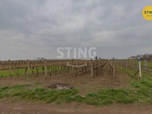 Prodej komerčního pozemku, Bořetice, 4731 m2
