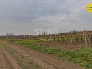 Prodej komerčního pozemku, Bořetice, 4731 m2