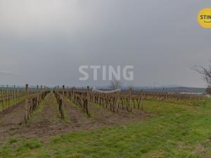 Prodej komerčního pozemku, Bořetice, 4731 m2