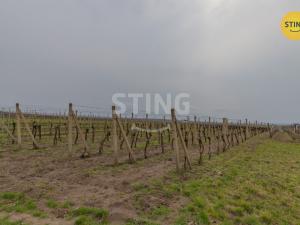 Prodej komerčního pozemku, Bořetice, 4731 m2