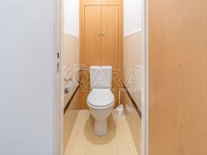 Pronájem bytu 2+kk, Kralupy nad Vltavou, nám. Mládežníků, 38 m2