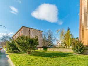 Pronájem bytu 2+kk, Kralupy nad Vltavou, nám. Mládežníků, 38 m2