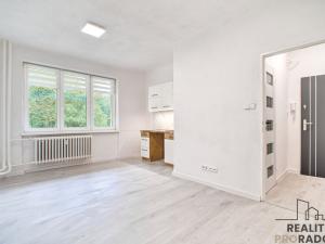 Pronájem bytu 1+kk, Karviná, U Lesa, 22 m2