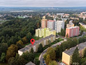 Pronájem bytu 1+kk, Karviná, U Lesa, 22 m2