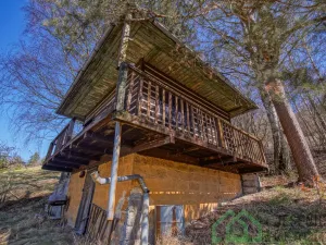 Prodej chaty, Líšný - Líšný 2.díl, 19 m2