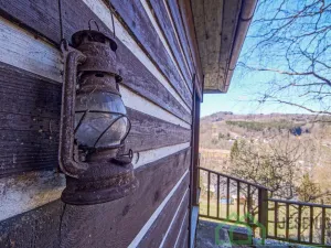 Prodej chaty, Líšný - Líšný 2.díl, 19 m2