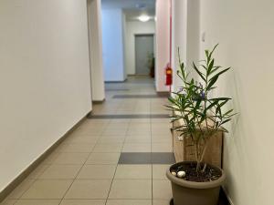 Prodej bytu 2+kk, Slavkov u Brna, Zelnice II., 49 m2