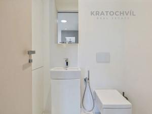 Prodej bytu 5+kk, Praha - Radlice, U Dívčích hradů, 231 m2