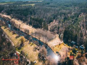 Prodej lesa, Plešnice, 4109 m2