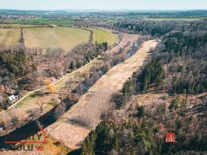 Prodej lesa, Plešnice, 4109 m2