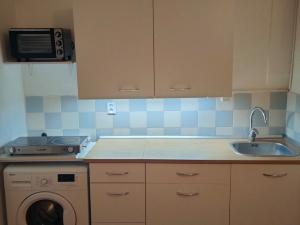 Pronájem bytu 1+kk, Havířov, Karolíny Světlé, 24 m2