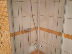 Pronájem bytu 1+kk, Havířov, Karolíny Světlé, 24 m2