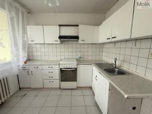 Pronájem bytu 4+1, Litvínov - Janov, Luční, 74 m2
