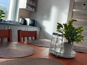 Pronájem ubytování, Třinec, 60 m2