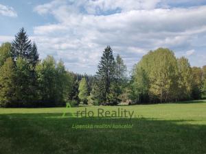 Prodej louky, Přední Výtoň, Frýdava, 23943 m2