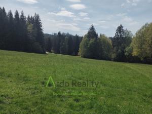 Prodej louky, Přední Výtoň, Frýdava, 23943 m2