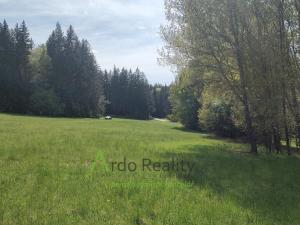Prodej louky, Přední Výtoň, Frýdava, 23943 m2