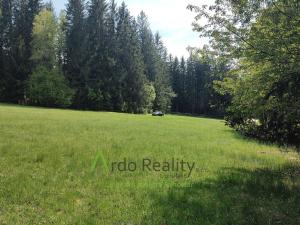 Prodej louky, Přední Výtoň, Frýdava, 23943 m2