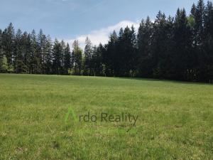 Prodej louky, Přední Výtoň, Frýdava, 23943 m2