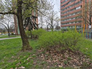 Prodej bytu 3+1, Orlová, Vnitřní, 68 m2