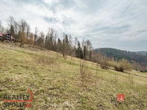 Prodej louky, Rokytnice nad Jizerou - Dolní Rokytnice, 3901 m2
