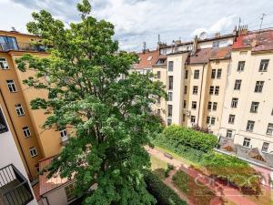 Pronájem bytu 4+kk, Praha - Nové Město, Na Moráni, 155 m2