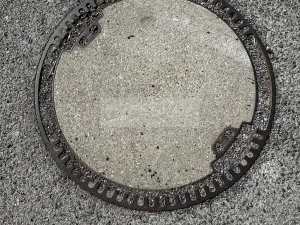 Prodej pozemku, Velké Přílepy, 4077 m2