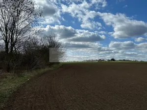 Prodej pozemku, Velké Přílepy, 1019 m2