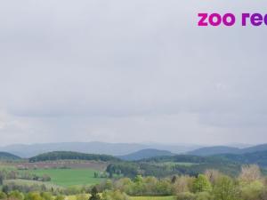 Prodej pozemku pro bydlení, Vacov - Lhota nad Rohanovem, 1572 m2