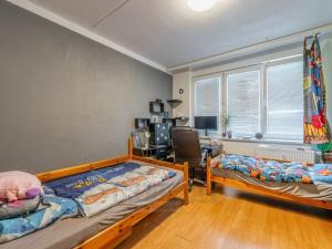 Prodej bytu 3+1, Borovany, Třeboňská, 74 m2