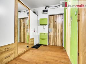 Prodej bytu 2+1, Ostrov, Lidická, 62 m2