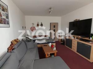 Pronájem bytu 1+kk, Zlín, Družstevní, 33 m2