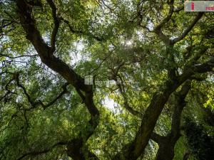 Prodej rodinného domu, Loucká, 220 m2