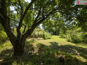 Prodej rodinného domu, Loucká, 220 m2