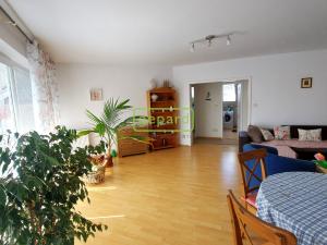Pronájem bytu 3+kk, České Budějovice, U Stromovky, 70 m2