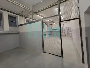 Pronájem skladu, Ostrava, Teslova, 58 m2