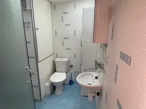Pronájem bytu 1+1, Děčín, U Tvrze, 38 m2