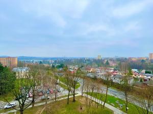 Pronájem bytu 2+kk, Ostrava, Svojsíkova, 40 m2