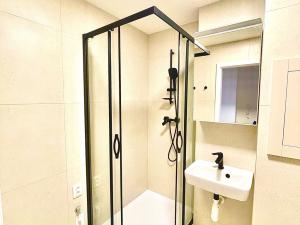 Pronájem bytu 2+kk, Ostrava, Svojsíkova, 40 m2