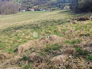 Prodej pozemku pro bydlení, Heřmanov - Fojtovice, 4280 m2