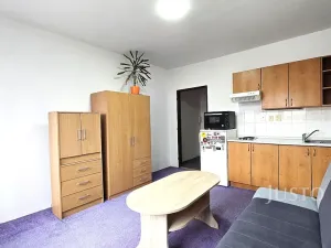 Pronájem bytu 1+kk, Písek, Dr. M. Horákové, 20 m2